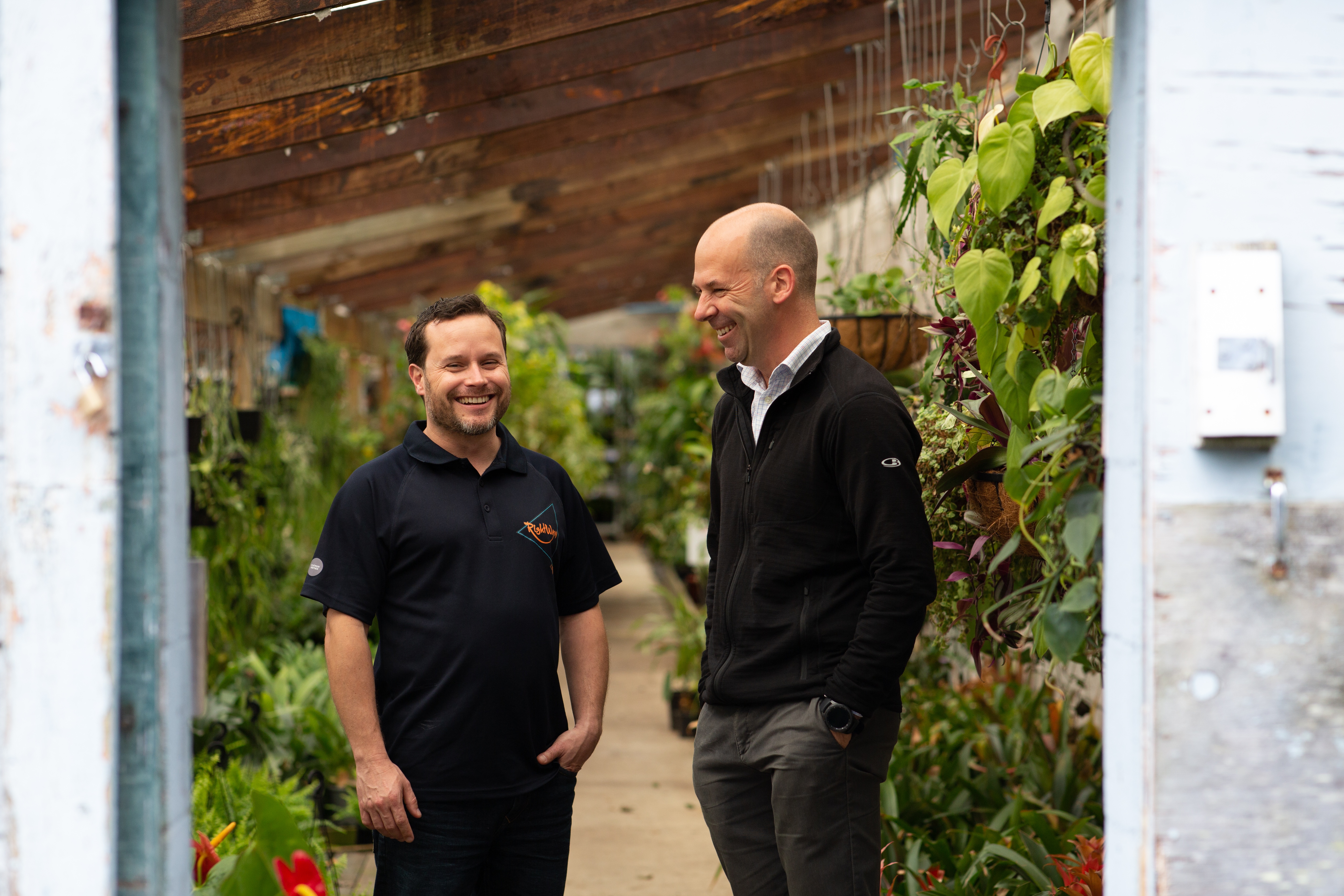 Good advice saves you time and money