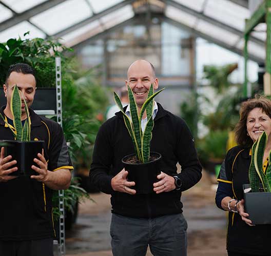 Hire Plants Auckland
